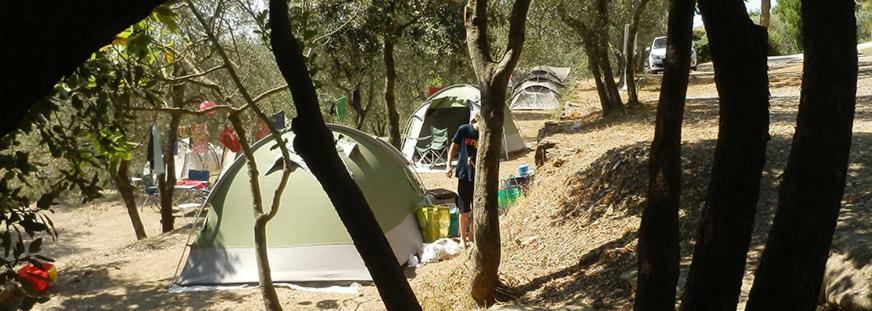 Camping Le Soline Hotel Murlo Buitenkant foto